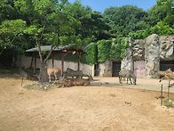 250518 해미청년 어린이 ..