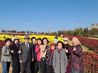 고북국화축제나드리&hearts;