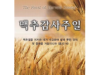 맥추감사주일(7월 5일)