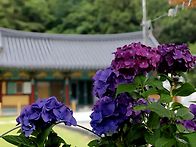 김해수안마을 그리고 보현..