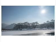 겨울은 봄인데 늦었네요