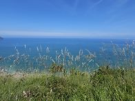 2025 산티아고 순례사진 ..