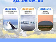 성인·가족 아이슬란드 링..