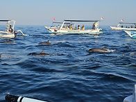 발리 섬투어 여행사진