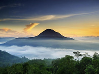 11월 발리힐링여행 신청안..