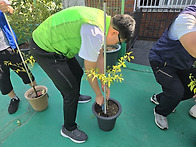 [09.23] 체리동산 원예활..