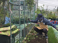 [10.21] 체리동산 식물테..