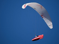 루카스 보닌과 실비아 갈리..