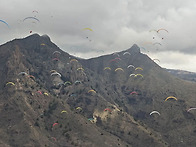 막심 피노, 바티스트 델베..