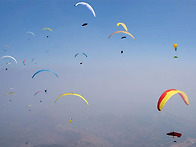 PWC 판치가니 2026