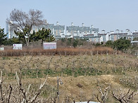 무궁화동산 동쪽 경사면 ..