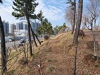 무궁화동산 남쪽 경사면 ..