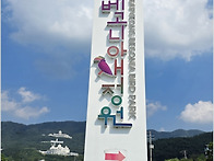가평베고니아새정..