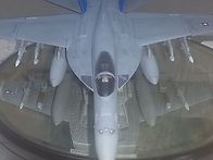 아카데미 1/72 푸킨독스