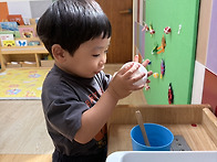 8월1주 줄기들 이야기