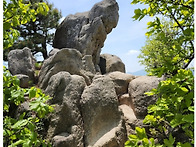 제240차 문경 대야산 산행