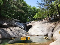 제240차 문경 대야산 산행