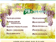 2024-09-08 둘째 주일 주..