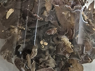 일요일 그래 이맛이야 봄은..