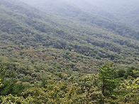 10/12 지리산에서 송이꾼을..