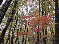 거림 청학연못~촛대봉~영신..