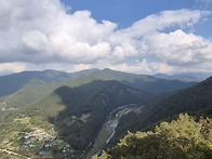 이제 내년에는 송이버섯도..