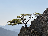 만사형통 (萬事亨通)이요...