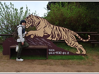 청산도3