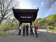비슬산1