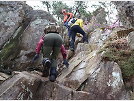 강진 덕용 주작