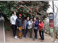 여수오동도