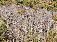 지리산 피아골 마무리