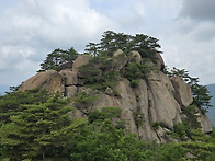 6월 속리산 묘봉 / 점고니..