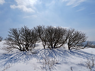 소백산 비로봉 / sangs..