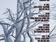 한파