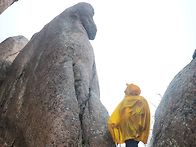 속리산 우중산행