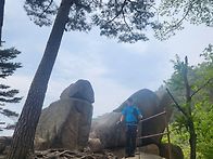 속리산 우중산행