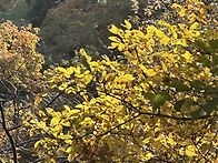 2025.11.2일 도봉산