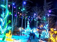 아침고요수목원 ..