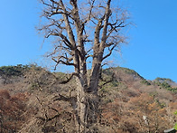 증미축구회 2022 가평 가..