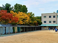 10/16(일) '증미-연북' ..