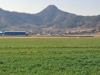 선학동마을 봄소식