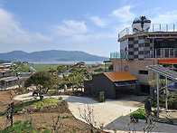 선학동마을 유채꽃..