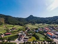 아쉬운 소식입니다.
