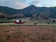 선학동마을 메밀수..