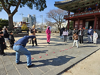 제주목 관아 에서 설 민속..