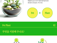 '마음을 키우는 반려식물 ..