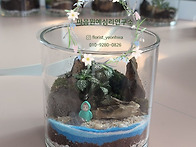 유리 속에 담은 나의 세계..