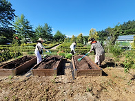 더운 여름, 치유농업 실증..