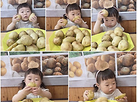 포슬포슬 감자랑 놀아요